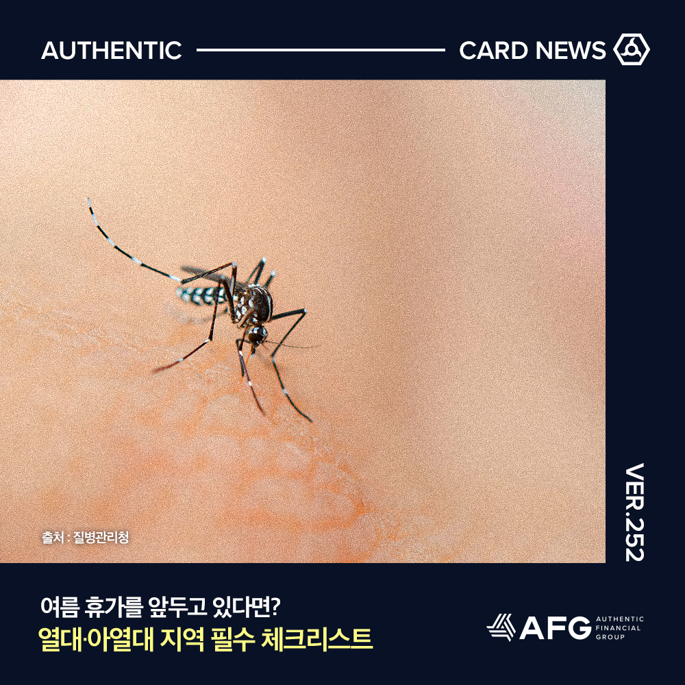 카드뉴스